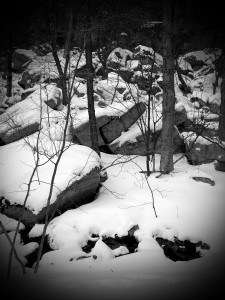 Mohonk snow on trail 2015