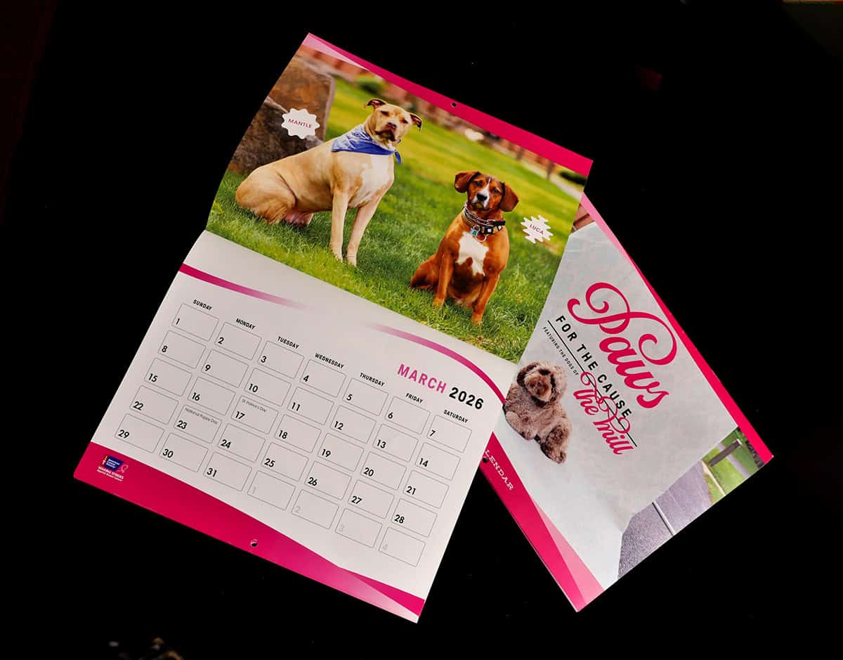 Dog calendar featuring professional pet photography for the home and office, showcasing adorable dogs in outdoor settings.
