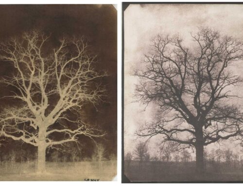 History of Photography: Talbot